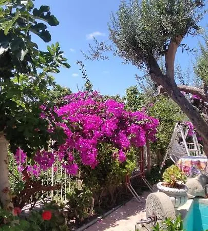 Panzió La Casa Di Mariu Furnari