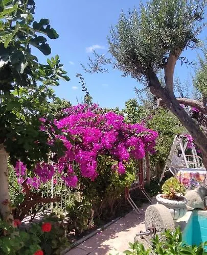 住宿加早餐酒店 La Casa Di Mariu 富尔纳里